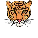 ROOF TIGER